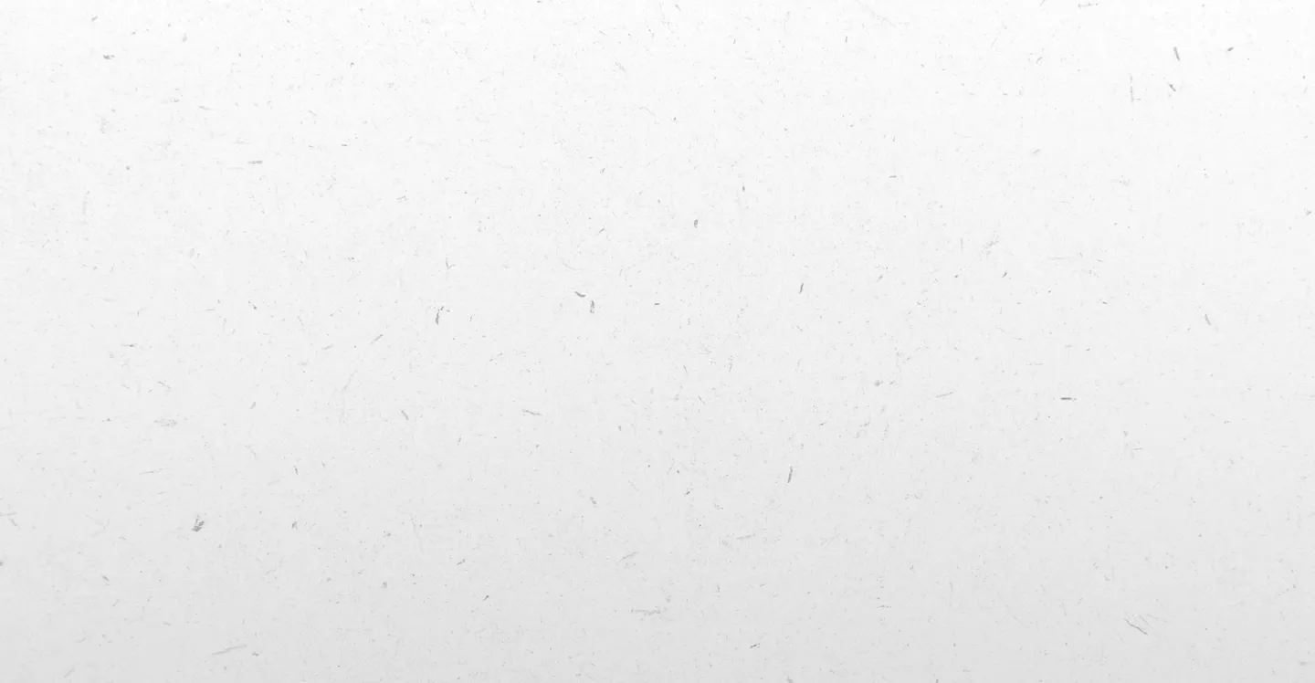 plain white background image