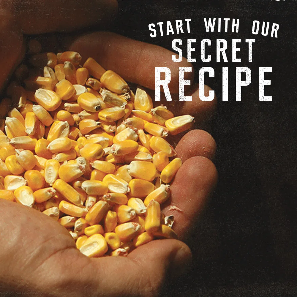 hands holding grains of corn